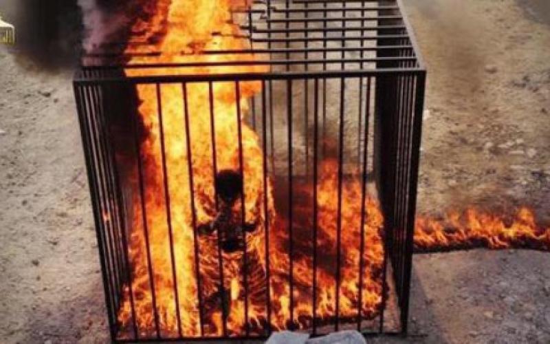 Fox News diffuse les images de l'exécution de l'otage jordanien