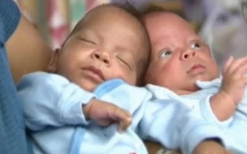 Ils naissent à trois semaines d'intervalle