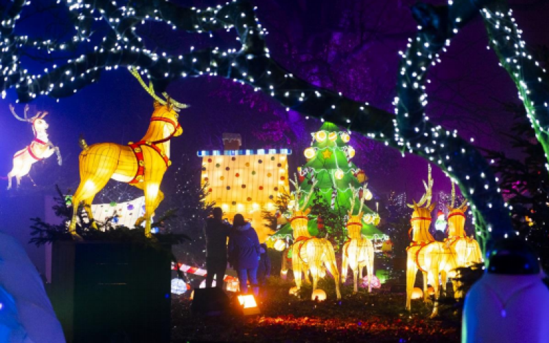 Metz : un 10e anniversaire dignement fêté pour le Sentier des Lanternes !