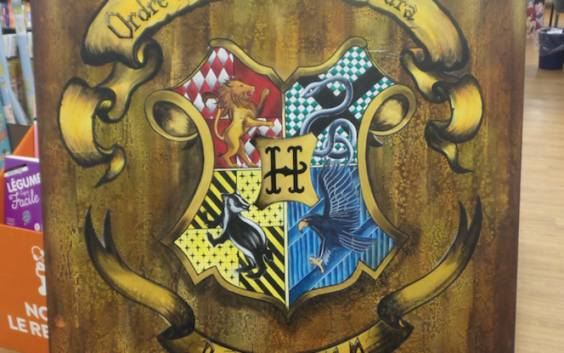 PHOTOS : les 20 ans d'Harry Potter fêtés en grande pompe avec près de 200 fans à Metz !