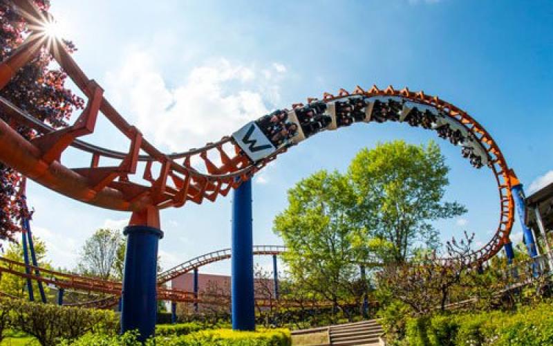 Walygator se veut toujours plus fun !