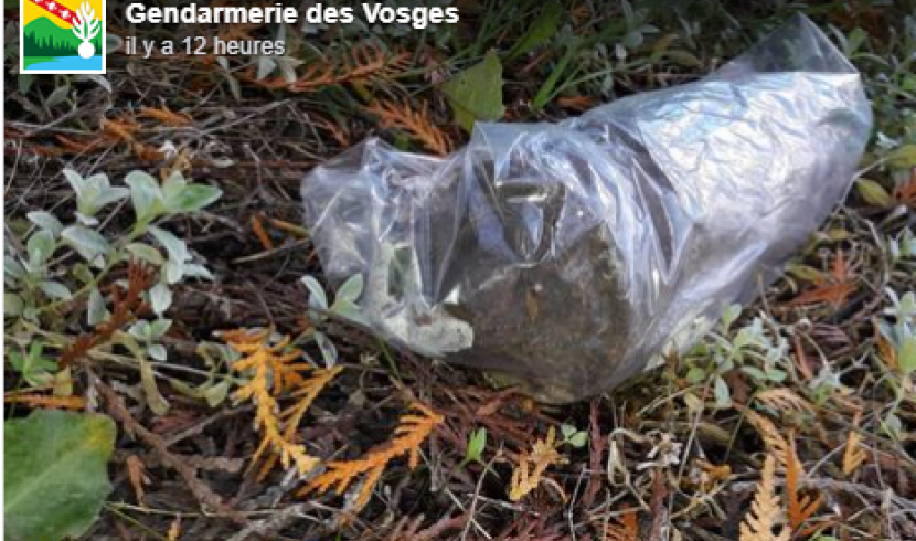 Vosges : il ramène un obus encore actif aux gendarmes !