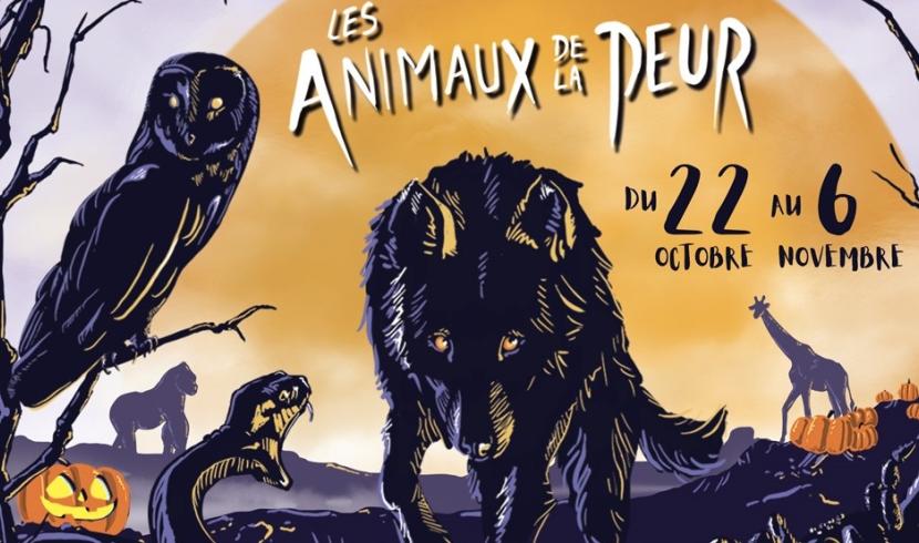 Les animaux de la peur débarquent au Zoo d'Amnéville !