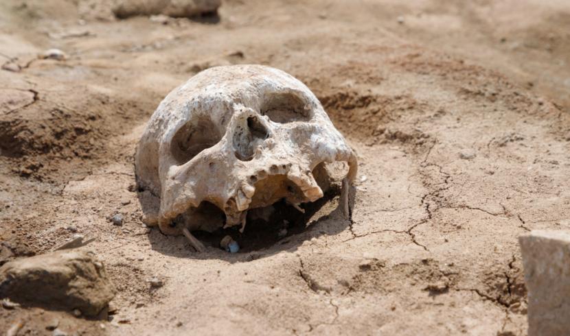 Un crâne retrouvé par un promeneur à Froidcul