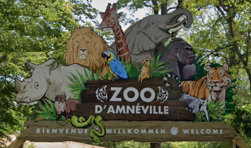 Zoo d'Amnéville : belle hausse de la fréquentation en 2022