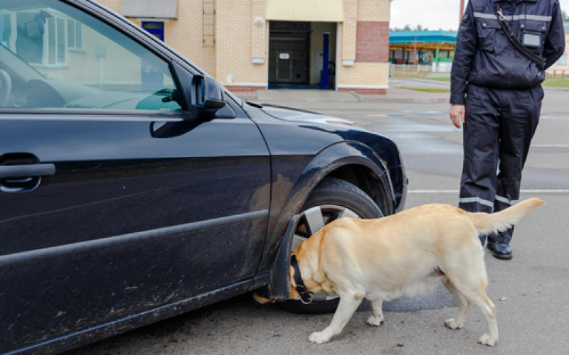 A31 : un albanais coincé avec 17 000 euros cachés dans sa voiture