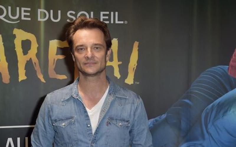 Amnéville : David Hallyday en concert le 20 mars