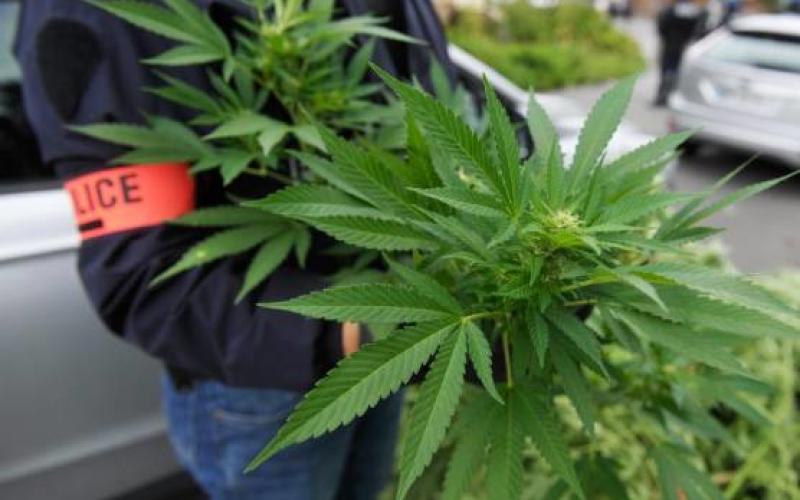 Amnéville : la police met la main sur plus de 50kg de cannabis