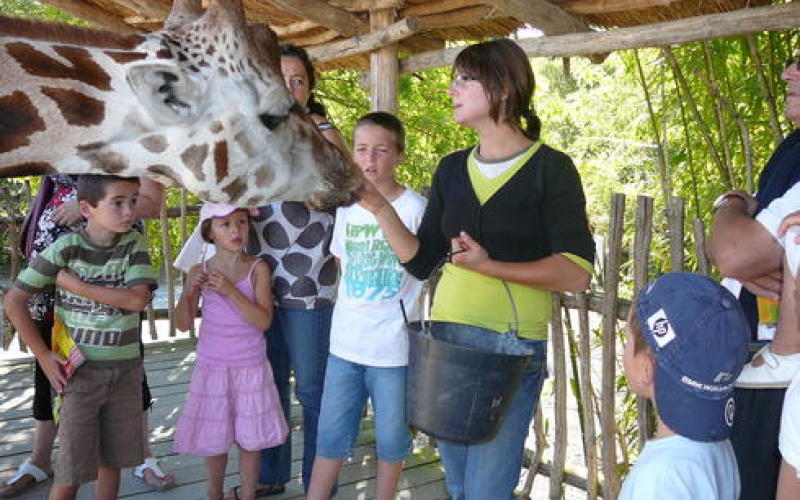 Amnéville : Première pour la "Junior Zoo Academy"