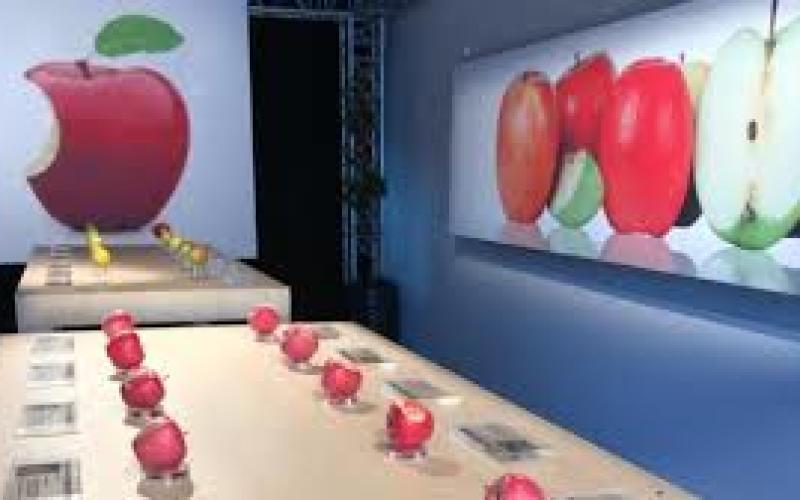 Ars-Laquenexy : Une expo de pommes façon Apple !