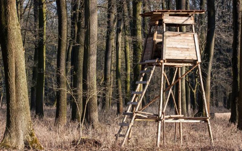 Cattenom : un chalet et des miradors de chasseurs dégradés par des anti-spécistes
