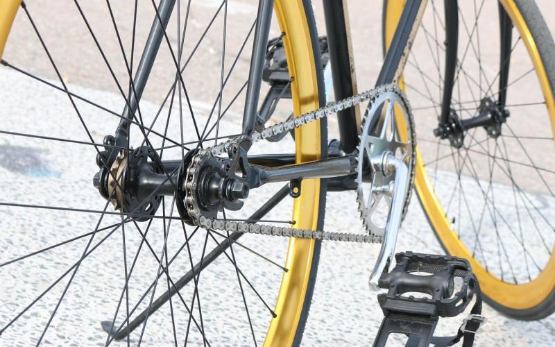 Des bibliothécaires font le tour de la région et du Luxembourg, à vélo