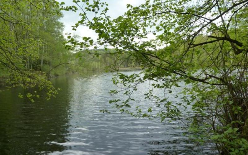 Deux pêcheurs disparus dans le pays de Sarrebourg