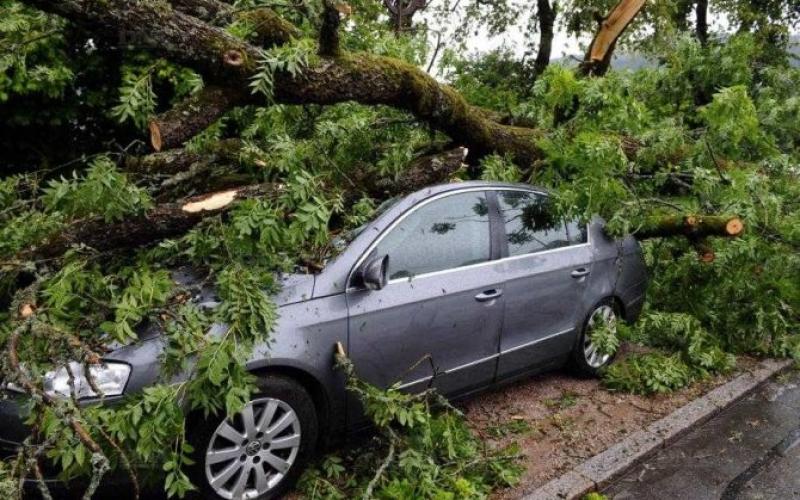 Deux villages vosgiens balayés par une mini-tornade
