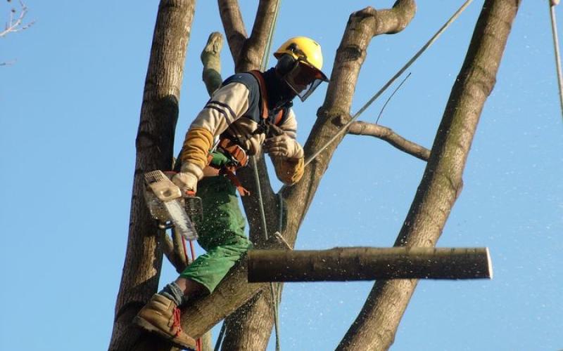 Dramatique accident du travail à Petit-Réderching