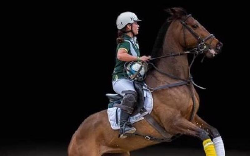 Drame dans une compétition équestre en Meurthe et Moselle