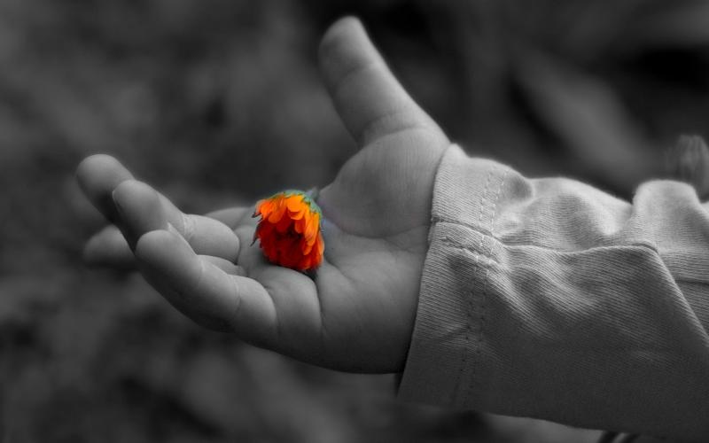 Endeuillée, une famille lorraine en appelle à Julien Doré