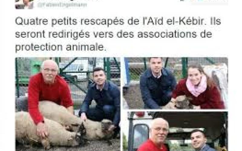 Fabien Engelmann, défenseur des animaux