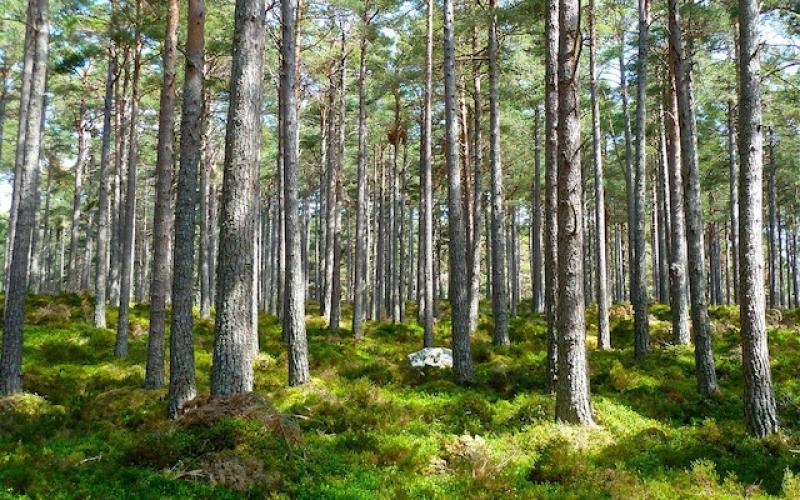 G7 de l’environnement : les membres adoptent la charte de Metz
