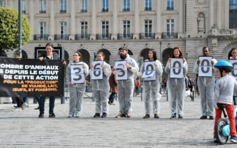 L214  à Nancy : un compteur humain pour dénoncer le nombre d'animaux tués