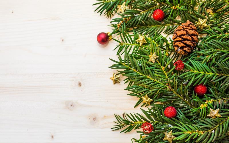 La collecte de sapins naturels commencera début janvier sur l'agglo de Thionville