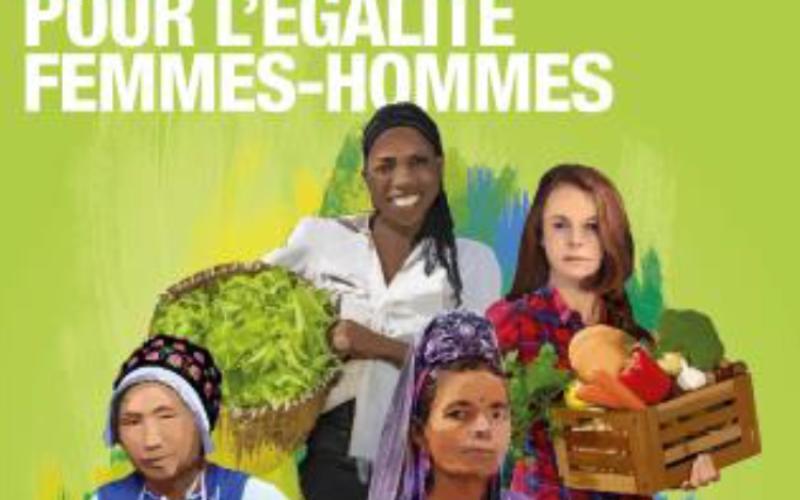 La Quinzaine du Commerce Équitable du 12 au 27 mai