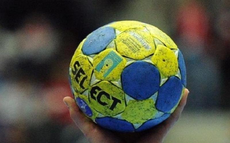 Le Metz-Handball sans trembler en play-off ! 