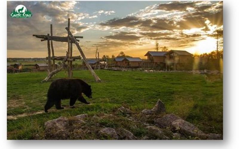 Le Parc de Sainte-Croix, encore élu « Zoo et Parc Animalier » préféré des Français 