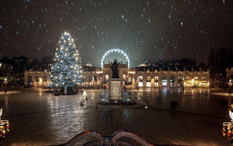 Le sapin de la place Stanislas de Nancy va s'offrir une nouvelle vie et devenir un produit minceur !