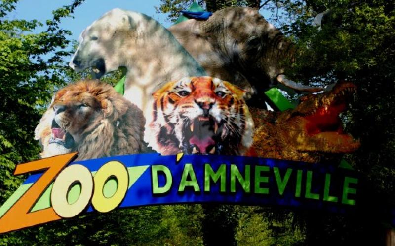 Le sort du zoo d'Amnéville sera scellé dans un mois