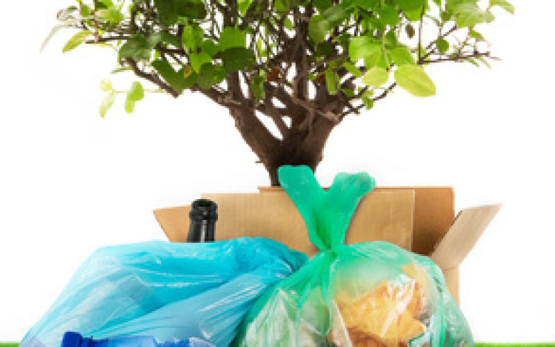 Le World CleanUp Day fait étape à Jarny