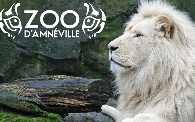 Le Zoo d'Amnéville compte sur le volet judiciaire pour rebondir