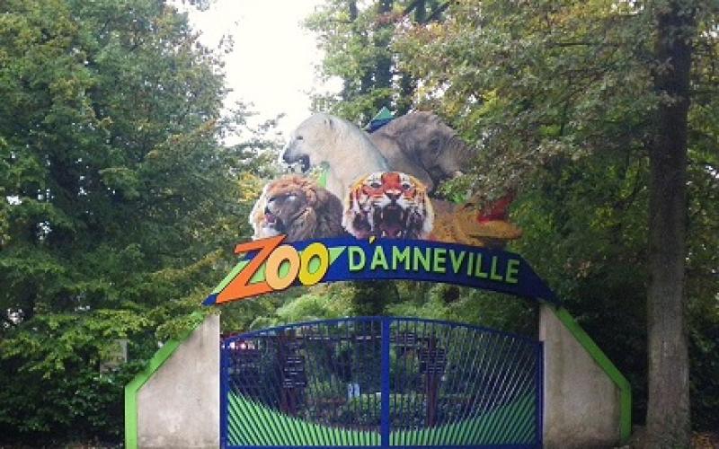 Le zoo d'Amnéville va pouvoir souffler : le plan d'apurement de la dette va être modifié