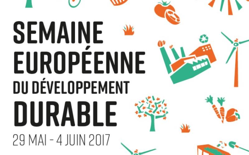 Metz dans le développement durable