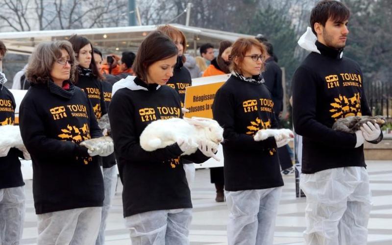 Metz : opération coup de poing des L214