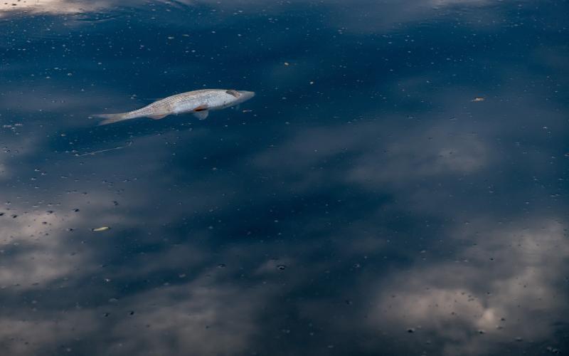 Mondorff : pollution aux hydrocarbures depuis la France vers le Luxembourg