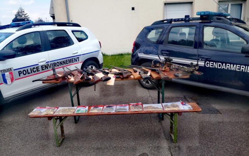 Moselle : il chassait le gibier la nuit, en voiture, à l'aide d'une arbalète