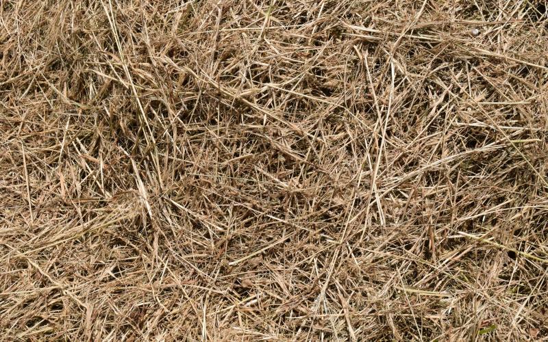 Moselle : une fillette de 3 ans gravement blessée dans la chute de bottes de foin