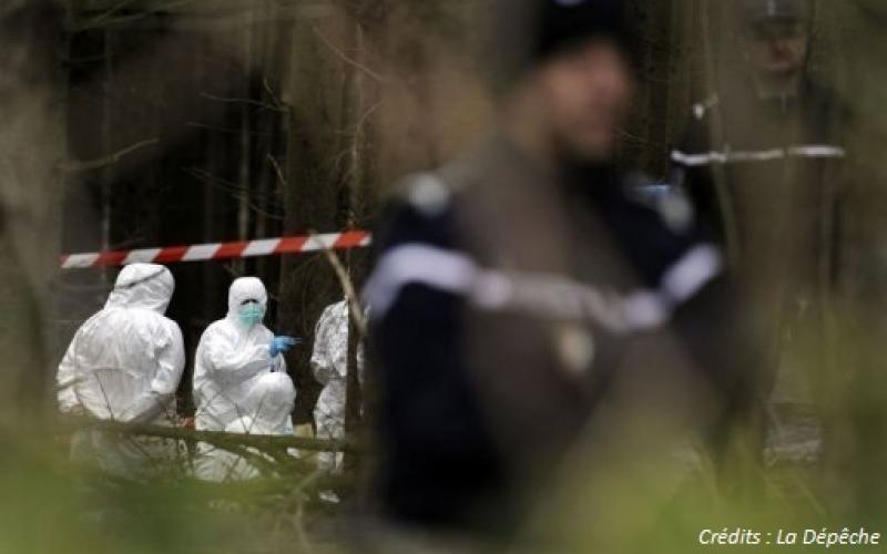 Nancy : le corps retrouvé calciné est bien celui de Julie Martin