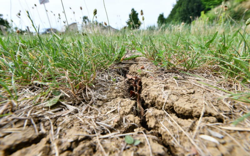 Sécheresse : le Département de la Moselle passe en alerte renforcée