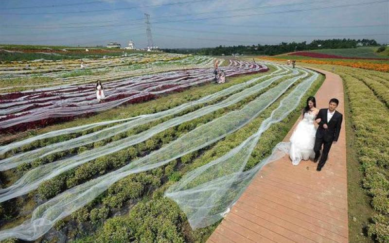 Sa traîne, en longueur