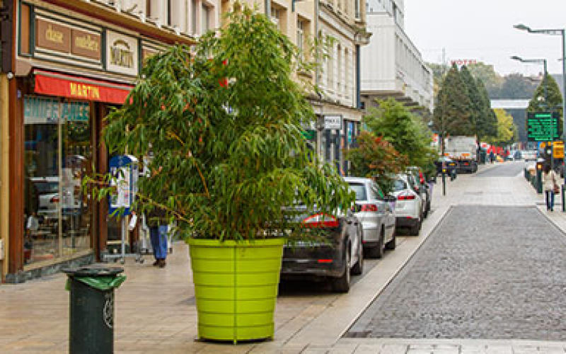 Thionville ne lâche pas son cœur de ville