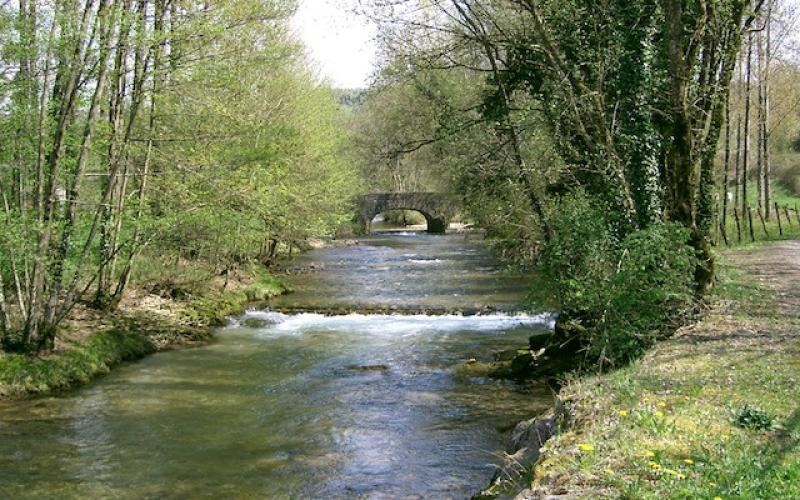 Un corps retrouvé dans la Seille 