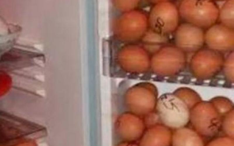 Un frigo rempli d'oeufs