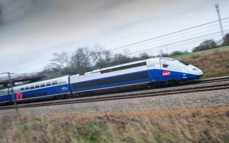 Un TGV percute un troupeau de moutons et bloque le trafic