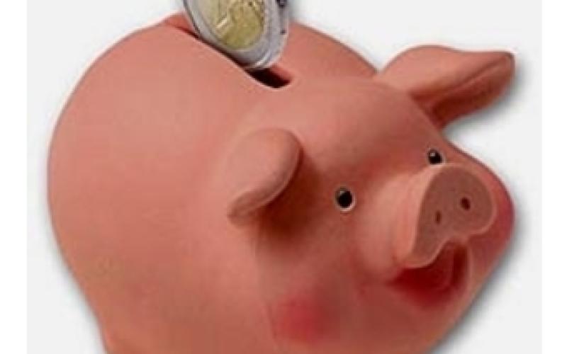 Un voleur se retrouve sur la toile en Meurthe et Moselle