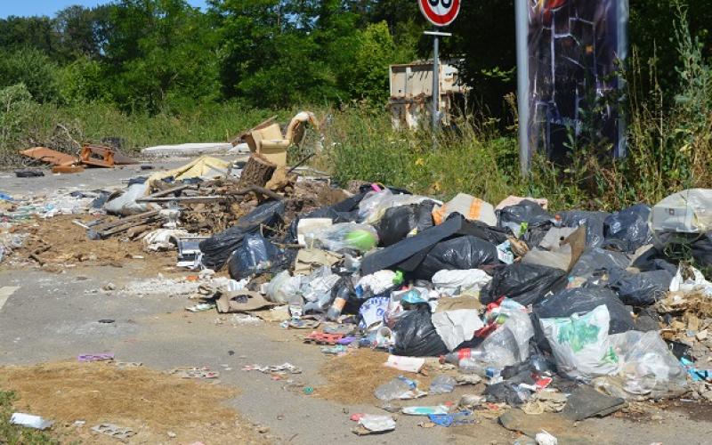 Une marche écolo pour nettoyer les rues d'Hayange