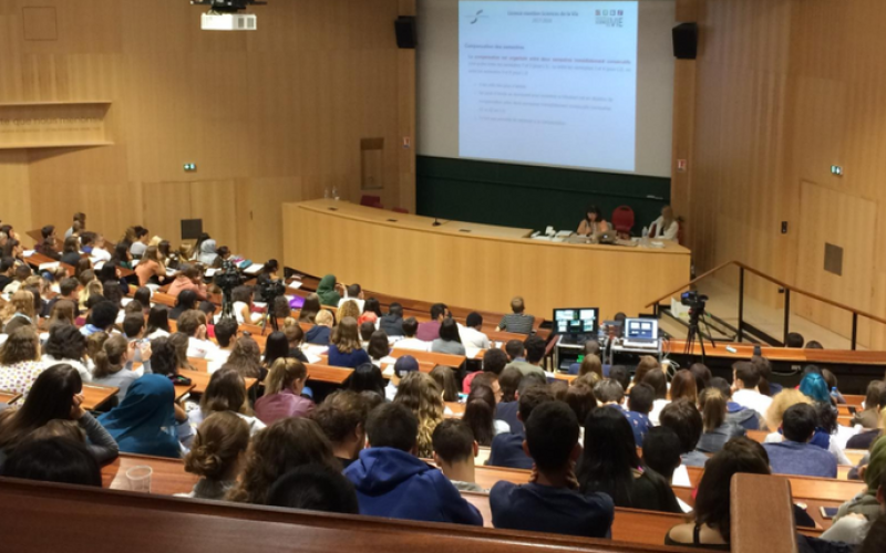 Université de Lorraine : un partiel sur le cas des Gilets jaunes
