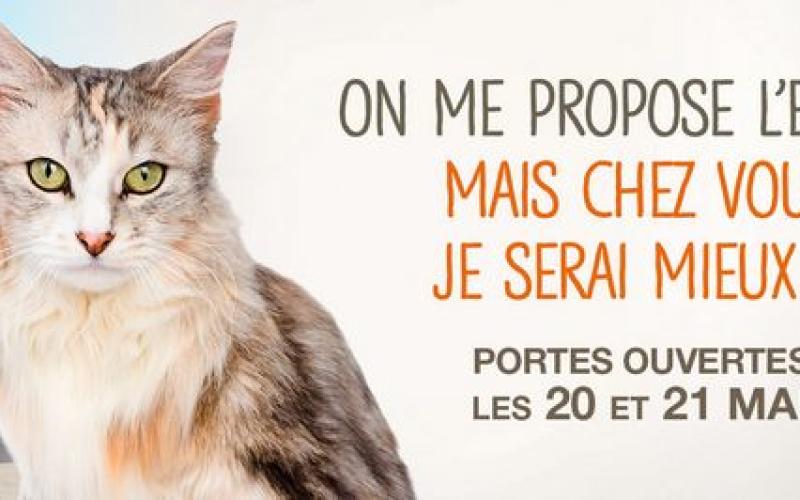 Venez adopter au refuge SPA de Thionville