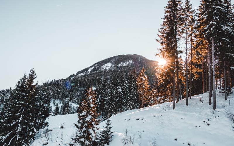 Vosges : face au redoux, les stations de ski doivent trouver des alternatives